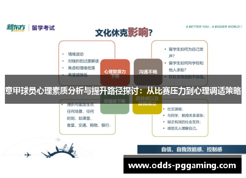 意甲球员心理素质分析与提升路径探讨：从比赛压力到心理调适策略