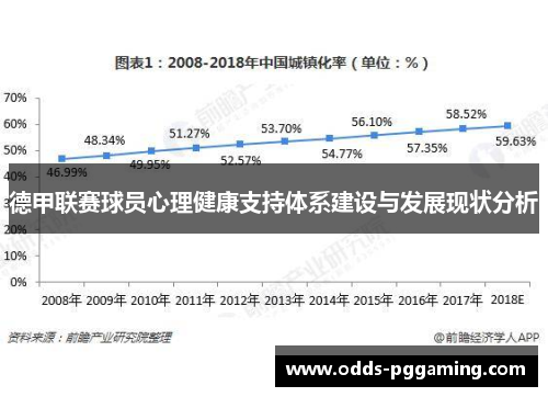 德甲联赛球员心理健康支持体系建设与发展现状分析