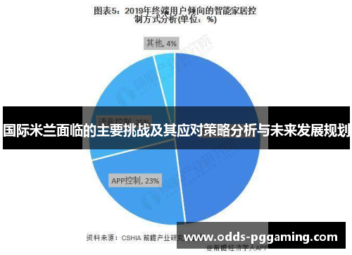 国际米兰面临的主要挑战及其应对策略分析与未来发展规划