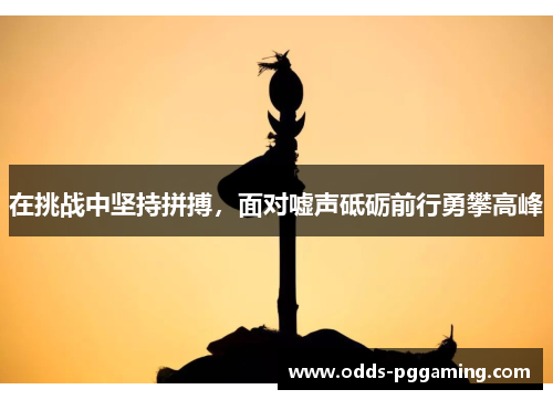 在挑战中坚持拼搏，面对嘘声砥砺前行勇攀高峰