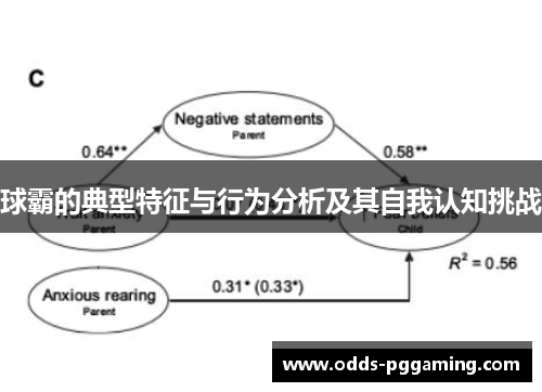 球霸的典型特征与行为分析及其自我认知挑战