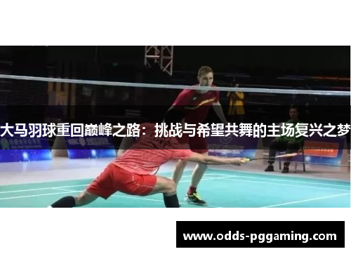 大马羽球重回巅峰之路：挑战与希望共舞的主场复兴之梦