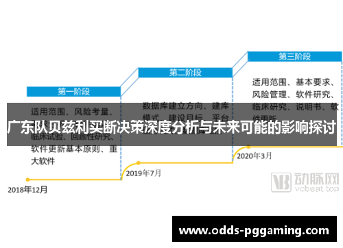 广东队贝兹利买断决策深度分析与未来可能的影响探讨