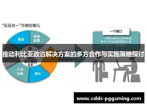 推动利比亚政治解决方案的多方合作与实施策略探讨