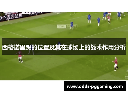 西格诺里踢的位置及其在球场上的战术作用分析