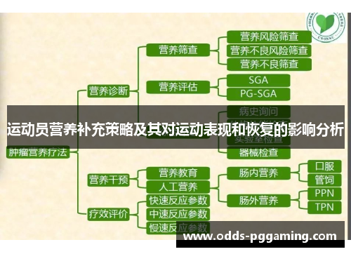 运动员营养补充策略及其对运动表现和恢复的影响分析 运动员营养补充策略及其对运动表现和恢复的影响分析