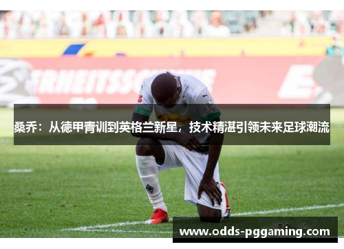 桑乔:从德甲青训到英格兰新星,技术精湛引领未来足球潮流 桑乔:从德甲青训到英格兰新星,技术精湛引领未来足球潮流