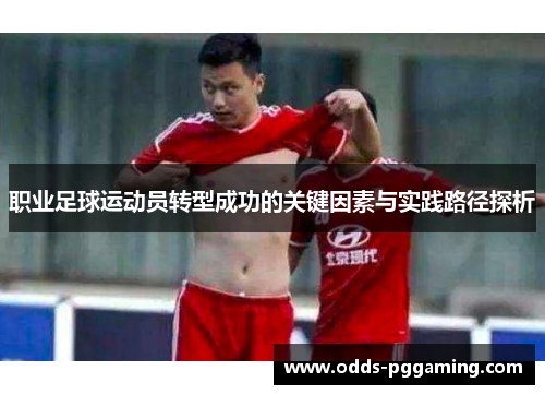 职业足球运动员转型成功的关键因素与实践路径探析
